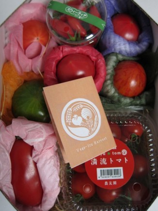 画像(326x435)・拡大画像(480x640)