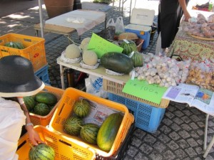 �摜(300x225)�E�g��摜(640x480)