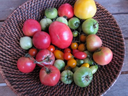 画像(435x326)・拡大画像(640x480)