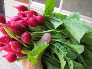 画像(300x225)・拡大画像(640x480)