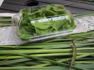 画像(300x225)・拡大画像(640x480)