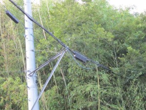 画像(300x225)・拡大画像(640x480)