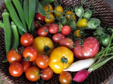 画像(435x326)・拡大画像(640x480)