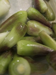 画像(224x300)・拡大画像(479x640)