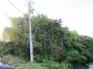 画像(300x225)・拡大画像(640x480)