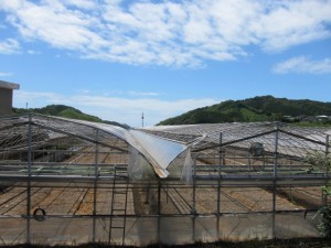 画像(300x225)・拡大画像(640x480)