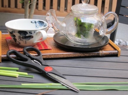 画像(435x326)・拡大画像(640x480)