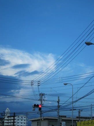 画像(326x435)・拡大画像(480x640)