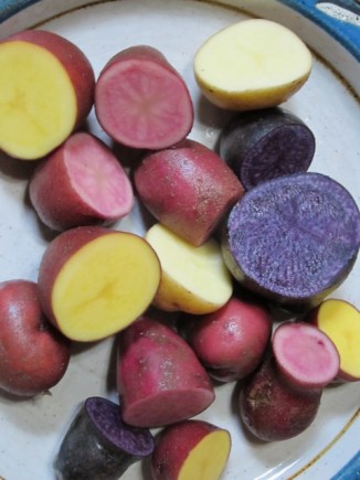 画像(326x435)・拡大画像(480x640)