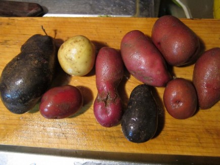 画像(435x326)・拡大画像(640x480)