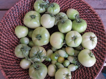 画像(435x326)・拡大画像(640x480)