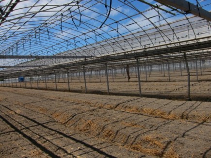 画像(435x326)・拡大画像(640x480)