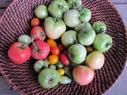 画像(435x326)・拡大画像(640x480)