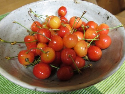 画像(435x326)・拡大画像(640x480)