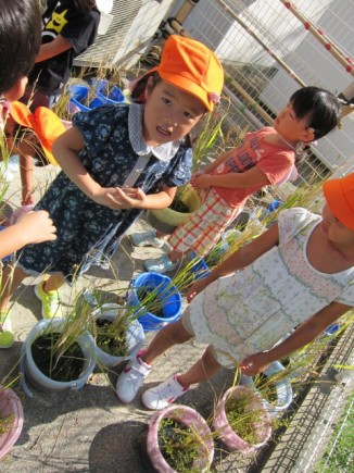 画像(326x435)・拡大画像(480x640)