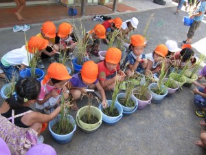 画像(300x225)・拡大画像(640x480)