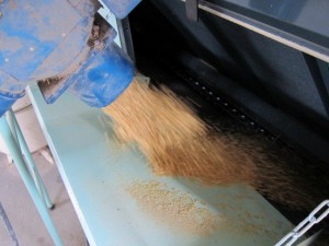 �摜(300x225)�E�g��摜(640x480)