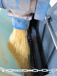 �摜(225x300)�E�g��摜(480x640)