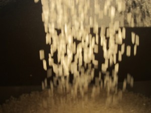 �摜(300x225)�E�g��摜(640x480)