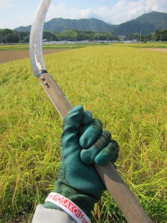 �摜(326x435)�E�g��摜(480x640)