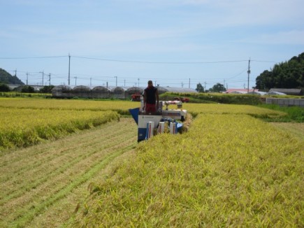 �摜(435x326)�E�g��摜(640x480)