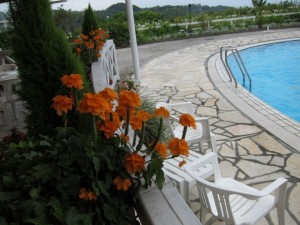 �摜(300x225)�E�g��摜(640x480)