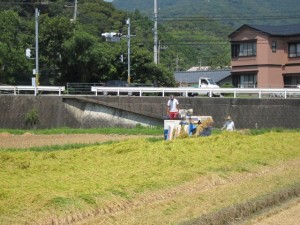 �摜(300x225)�E�g��摜(640x480)