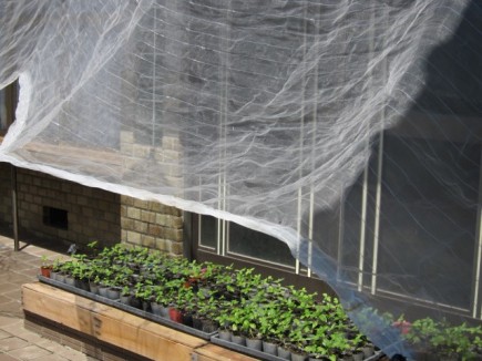 画像(435x326)・拡大画像(640x480)