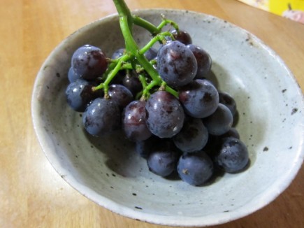 �摜(435x326)�E�g��摜(640x480)