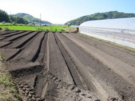 画像(435x326)・拡大画像(640x480)