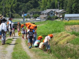 �摜(300x225)�E�g��摜(640x480)