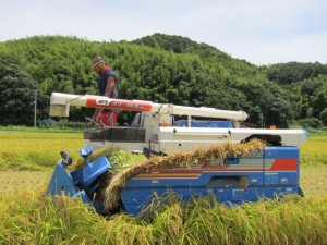 �摜(300x225)�E�g��摜(640x480)