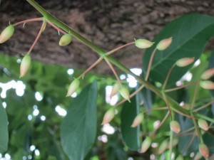 �摜(300x225)�E�g��摜(640x480)