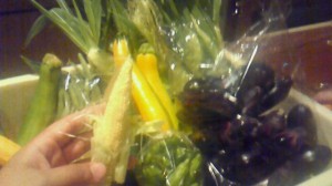 画像(300x168)・拡大画像(640x359)