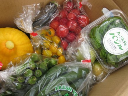 画像(435x326)・拡大画像(640x480)