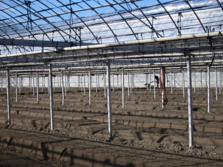 画像(435x326)・拡大画像(640x480)