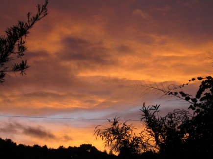 画像(435x326)・拡大画像(640x480)