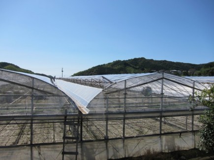 画像(435x326)・拡大画像(640x480)