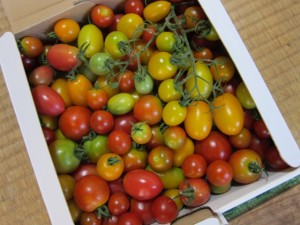 画像(300x225)・拡大画像(640x480)