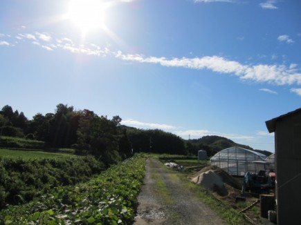 画像(435x326)・拡大画像(640x480)