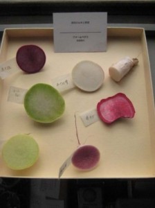 画像(224x300)・拡大画像(325x435)