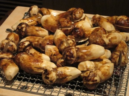 �摜(435x326)�E�g��摜(640x480)