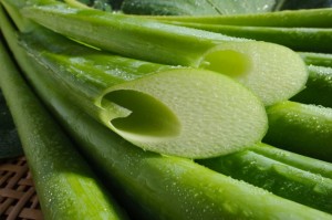 画像(300x199)・拡大画像(640x425)