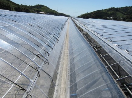 画像(435x326)・拡大画像(640x480)