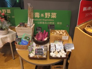 �摜(300x225)�E�g��摜(640x480)