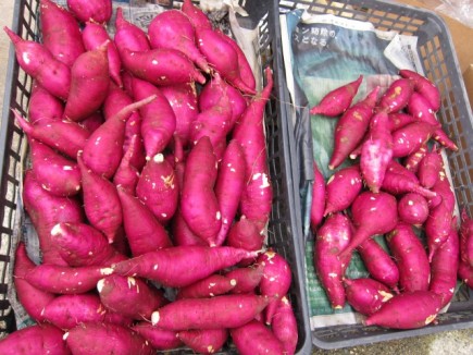 �摜(435x326)�E�g��摜(640x480)