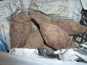 �摜(300x225)�E�g��摜(480x360)