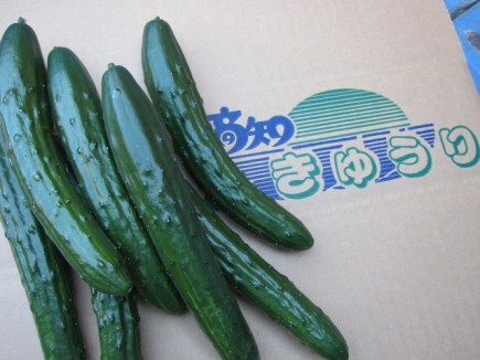 �摜(435x326)�E�g��摜(640x480)