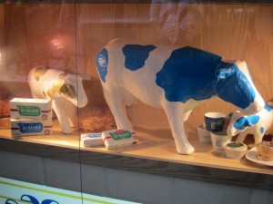 �摜(300x225)�E�g��摜(640x480)