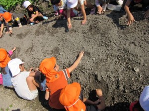 �摜(300x225)�E�g��摜(640x480)